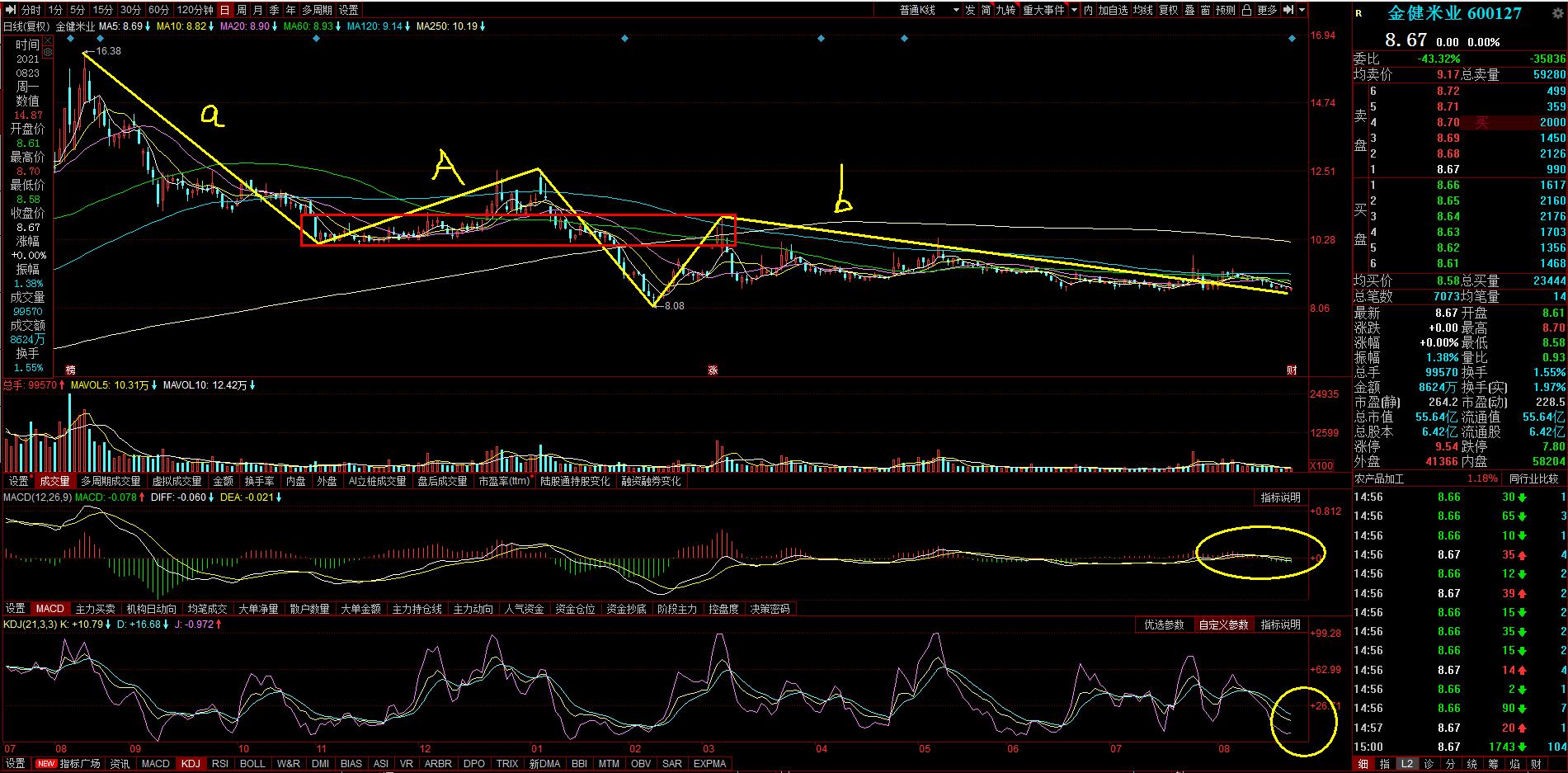 600127金健米业最新消息,金健米业股票怎么样详细介绍