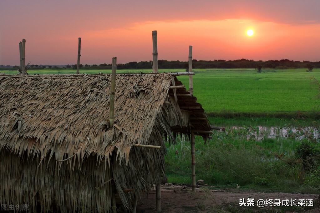 论语中修心篇,论语修心养性