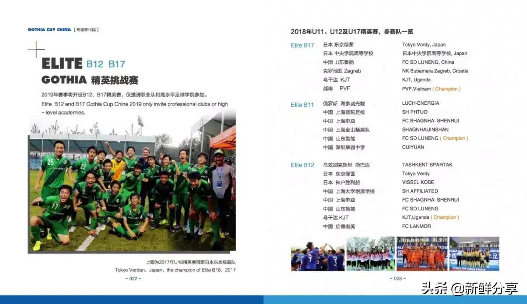 哥德杯世界青少年足球赛,国际青少年足球大赛在哪里举办