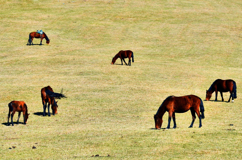 走在通往天堂的路上,走在离天堂很近的地方