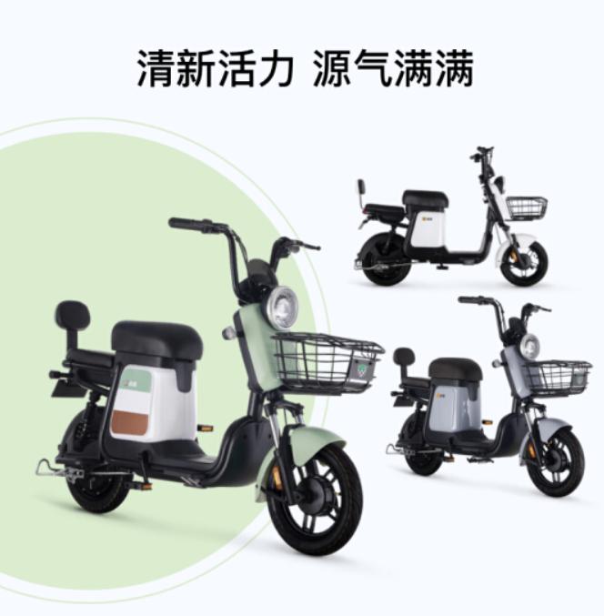 绿源电动自行车2021年新品,电动自行车品牌排行榜前十名