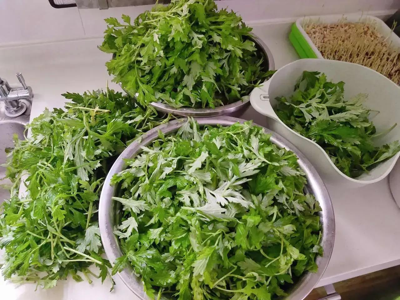 瀹㈠鑹剧矂鐑噺,瀹㈠闃垮Ж鑹剧矂