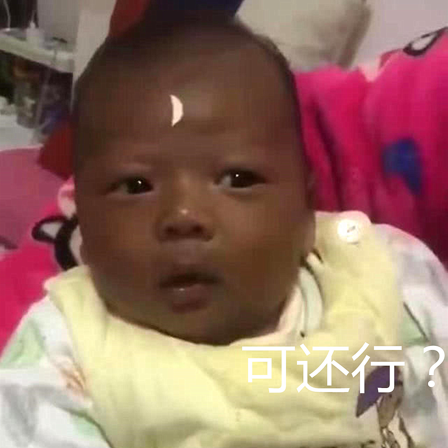 “最黑国产宝宝”火了，被爸爸COS包青天，网友：太会玩了