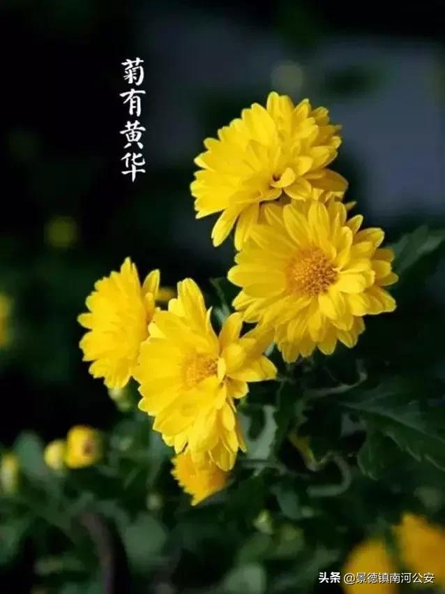 诗词丨33首名作，尽现大唐光荣289年