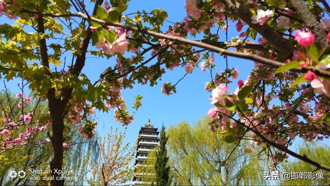 临漳七子湖的传说,临漳七子湖以前是什么样子的