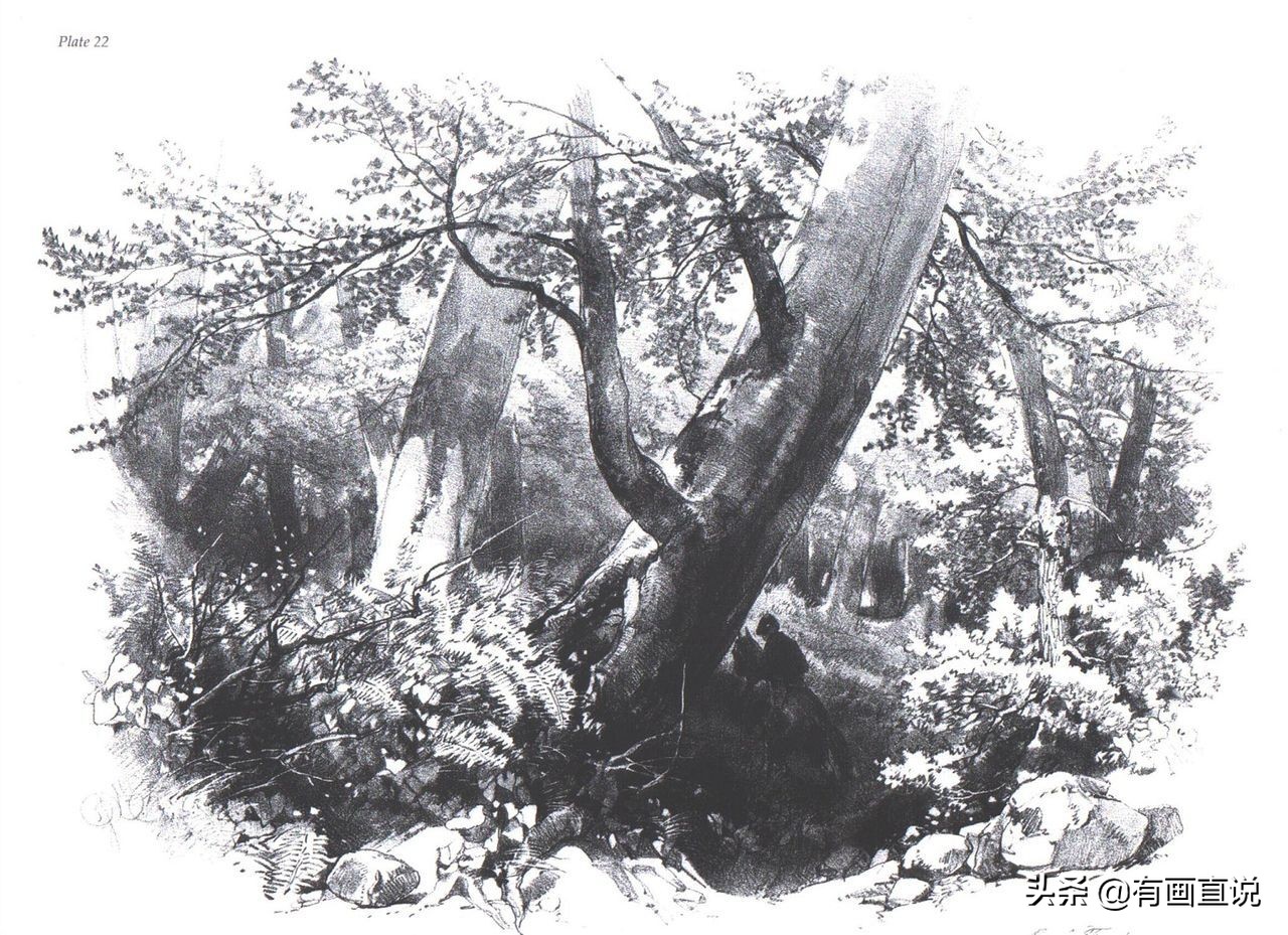 素描临摹高清大图初学,素描教程初学者临摹图