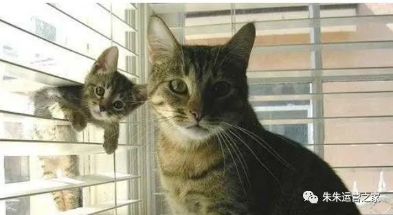 朱朱运营之家：学习PS工具箱中的模糊/锐化/涂抹工具