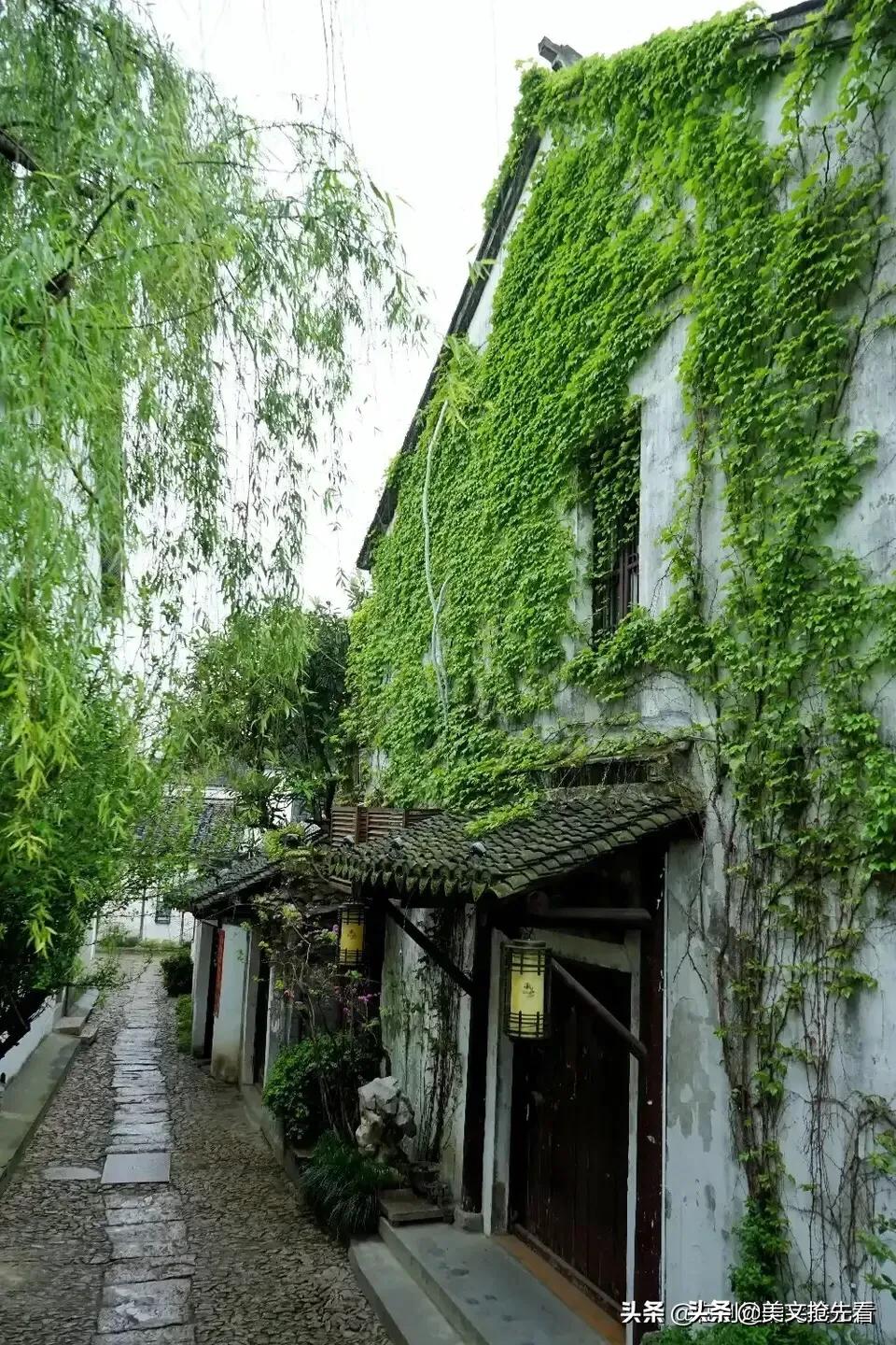 丹心一片林徽因阅读题,一片阳光林徽因阅读答案