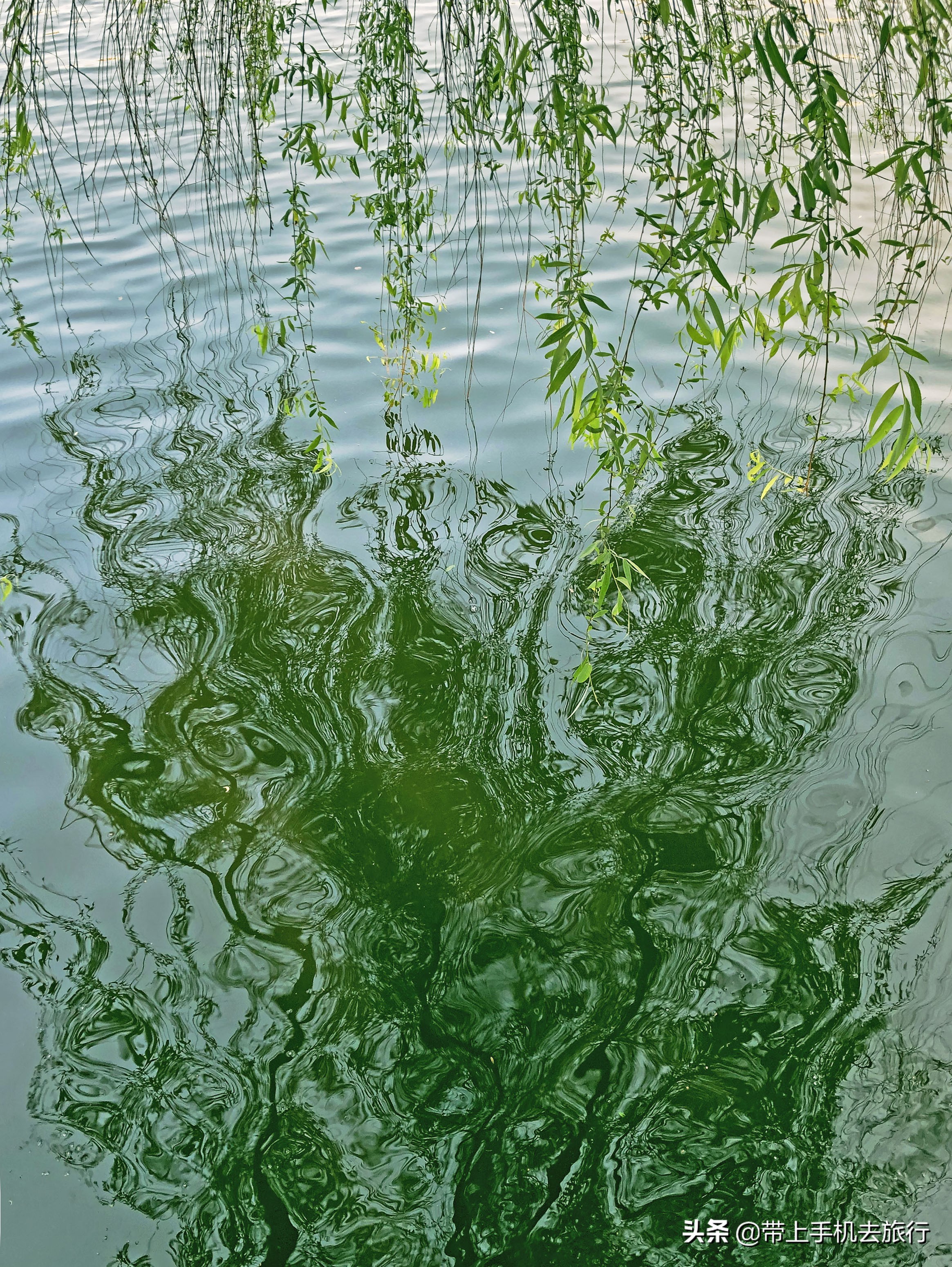 手机拍出震撼风景视频,手机拍出光芒四射的光影