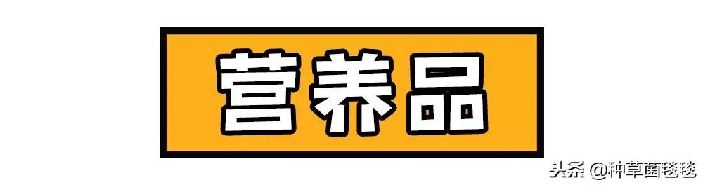 女人办公室必备物品,女生办公必备物品