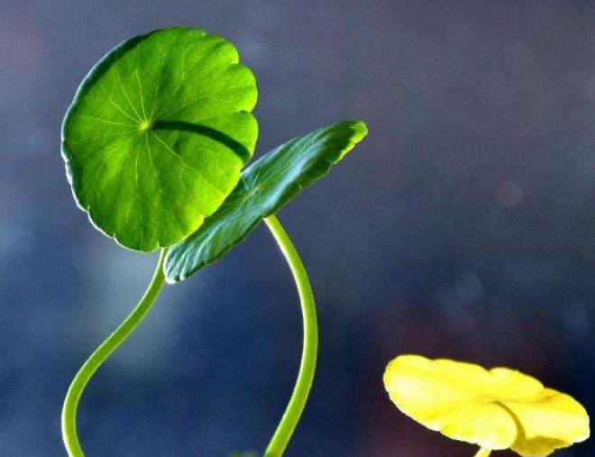 穷不走亲富不还乡自己要看清楚,穷不走亲富不还乡老话说的有道理