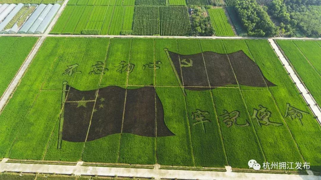 震撼！钱塘江畔出现巨型画作，有28个足球场这么大！