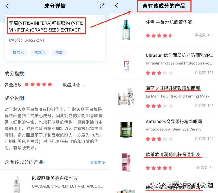 澳洲葡萄籽胶囊能美白吗,网络上说的吃葡萄籽产品美白