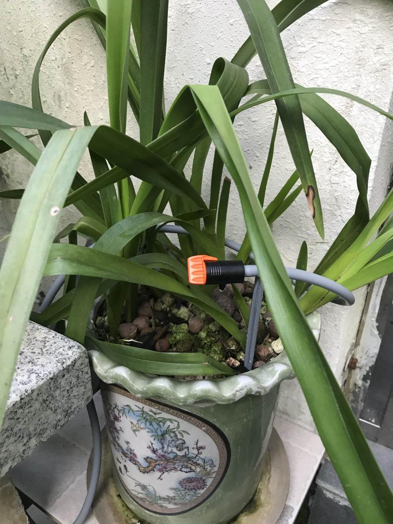 自动浇花器家用园艺智能定时控制,自动浇花器功能介绍