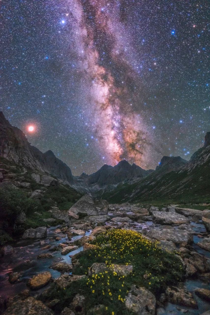 七月的青海湖美翻了,带你了解七月的青海