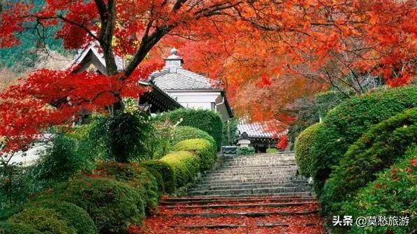 南京周边免费旅游景点推荐一日游,南京免费的旅游景点有哪些地方