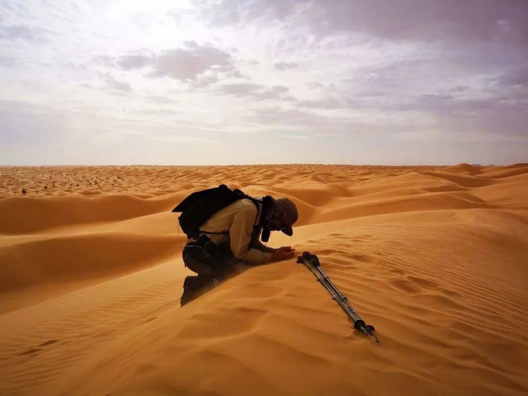 露营这阵风刮得太猛了，组团睡野地到底爽在哪里？