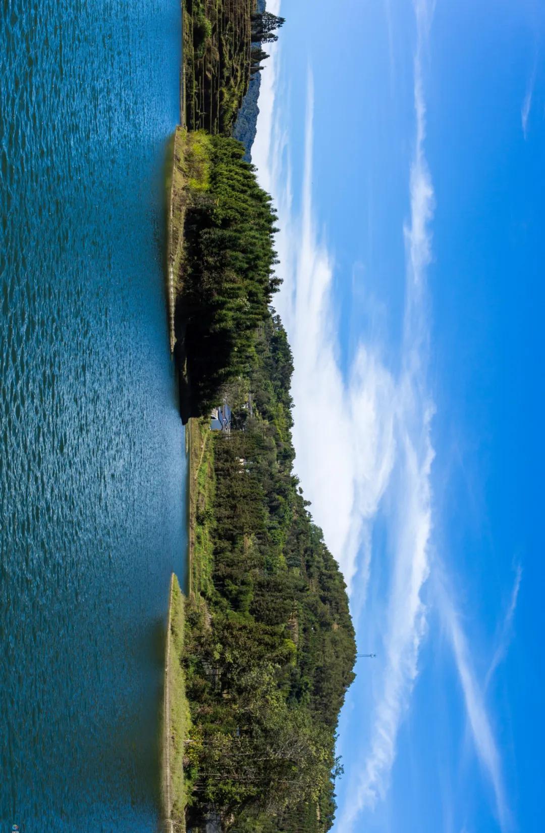 这是一个生机勃勃的地方关于它的故事才刚刚开始