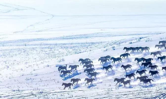 3月书单推荐经典好书,11月最值得看的10本好书