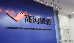 烽火大唐中国信科集团,中国信科集团与烽火通信的关系