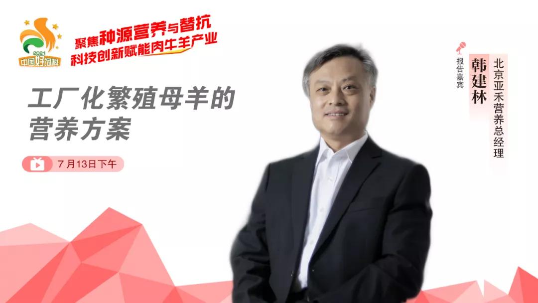 聚焦种源营养与替抗，7位专家分享“科技创新”赋能肉牛羊产业