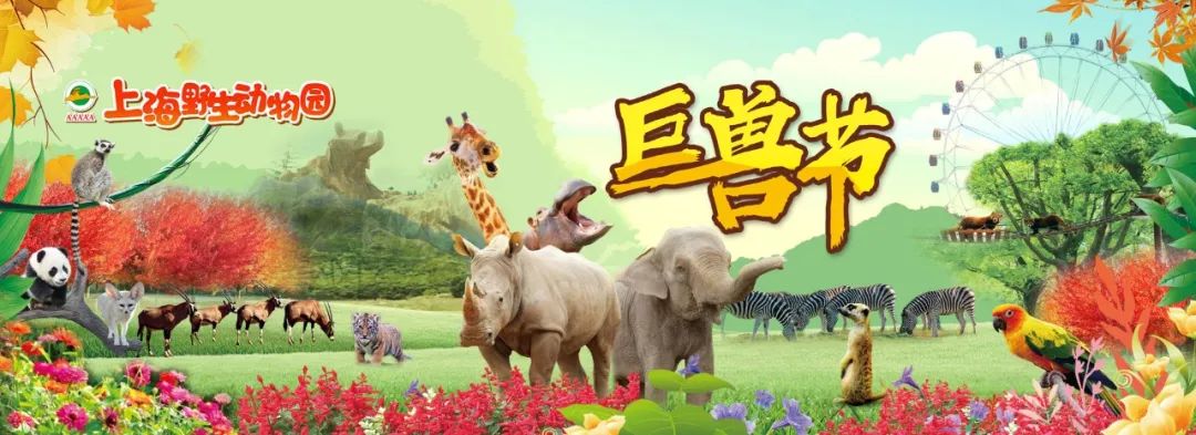 暑假遛娃周边游地方推荐,夏季周边遛娃一日游旅游景点推荐