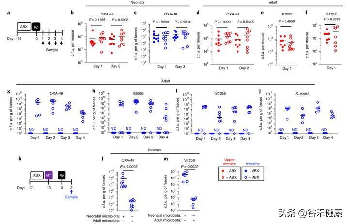 探索微生物奥秘演讲,微生物菌剂探索