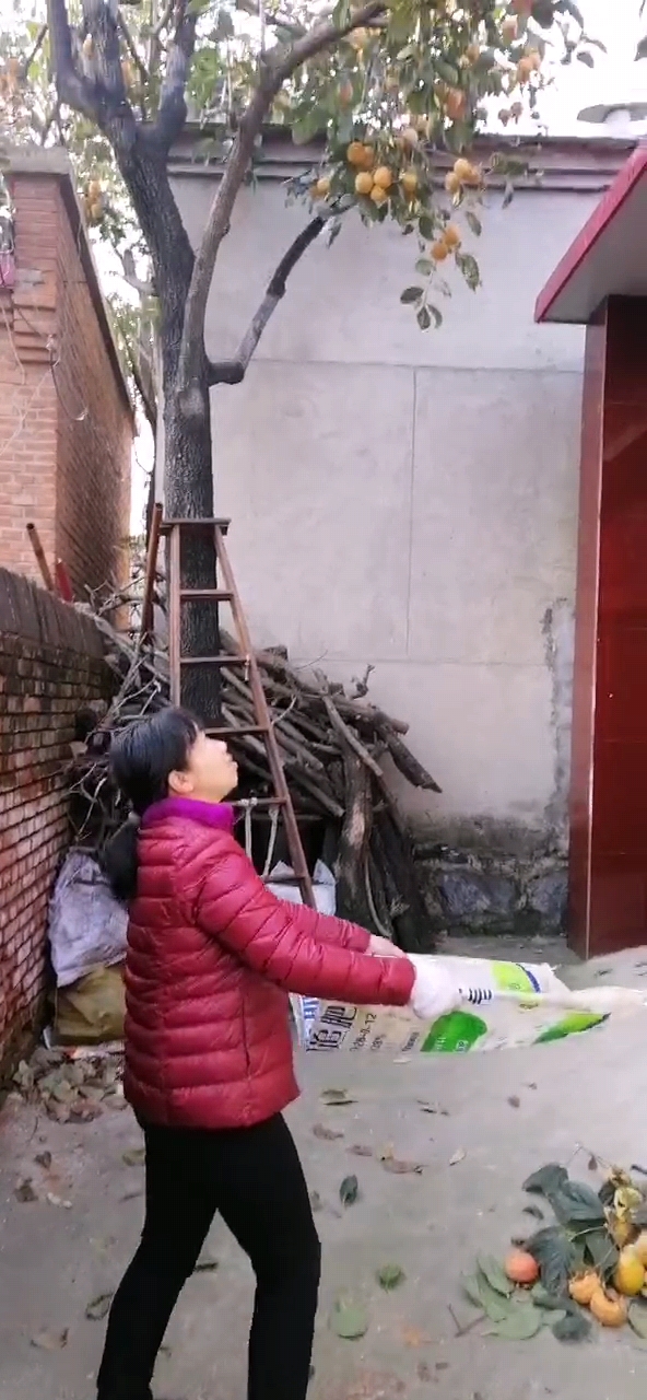 周末带孩子一起来体验采摘的乐趣,周末带孩子体验田园采摘的快乐