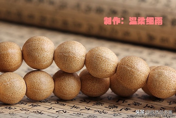 印度菩提子的种类,海南菩提子的种类