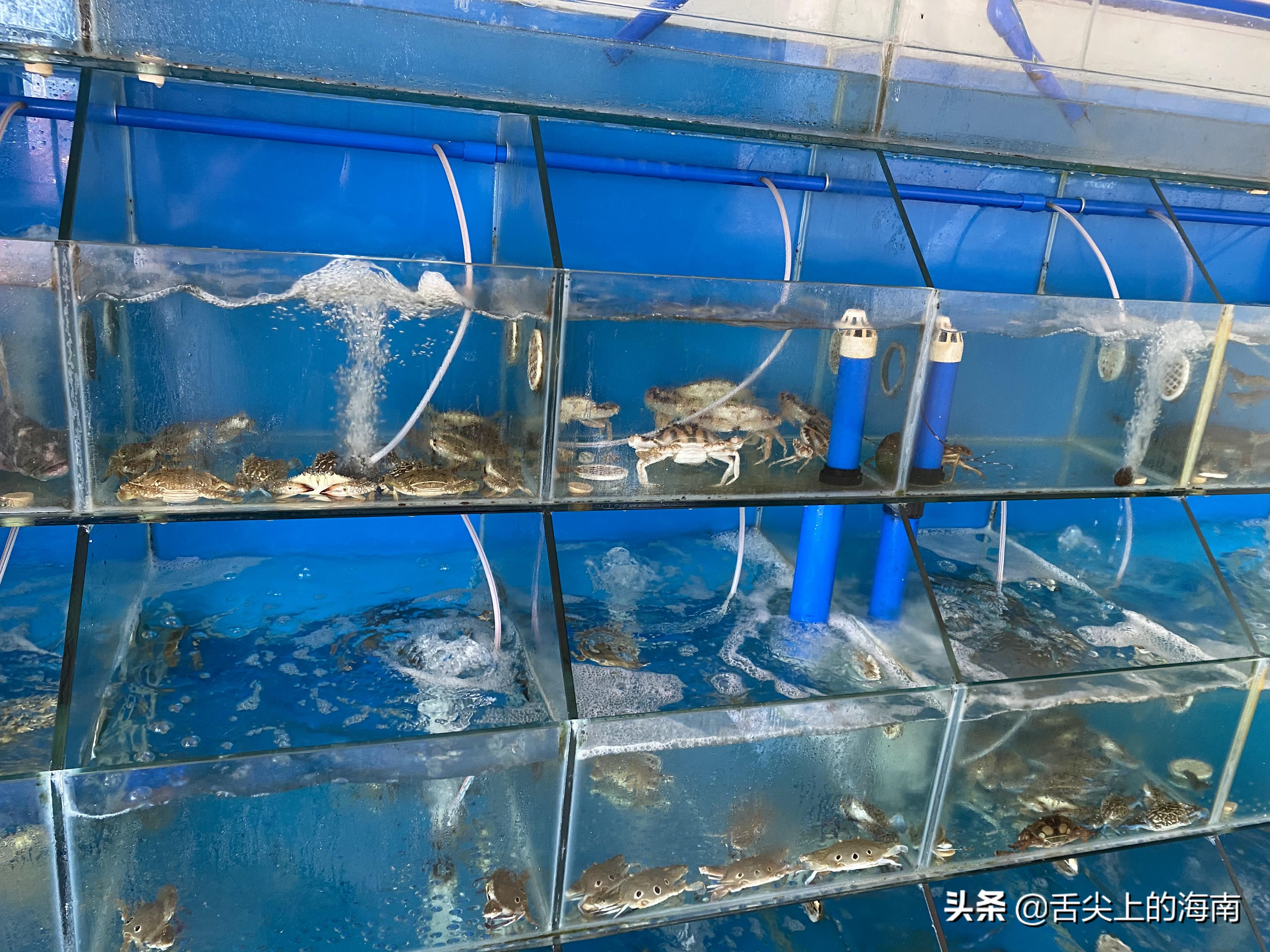 三亚旅游美食攻略必去的地方推荐,三亚旅游攻略自由行南山寺