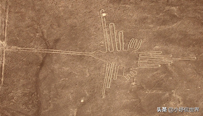 谷歌地图上的奇怪画面,谷歌地图中最诡异的15张照片