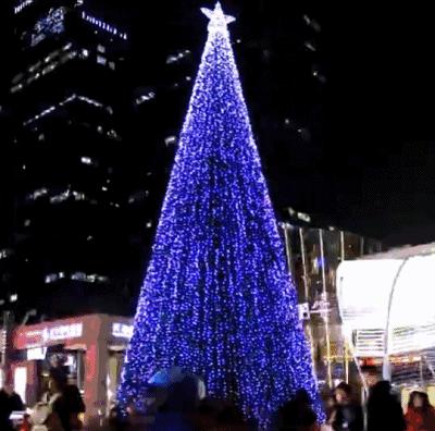 去香港看圣诞树攻略,香港中港城的圣诞树