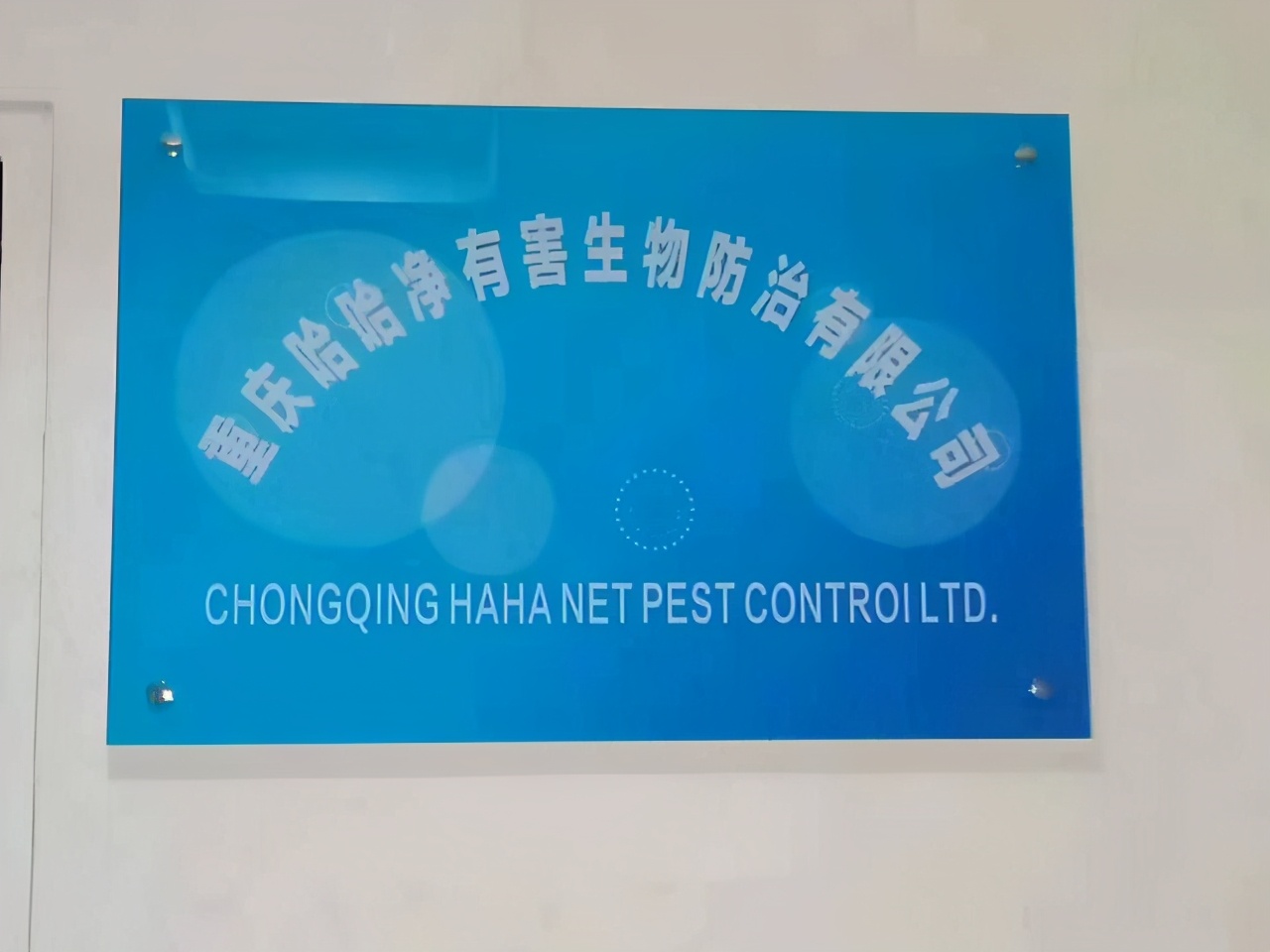 重庆比较靠谱的除四害公司