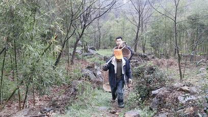 舌尖上的珍味春笋,舌尖上的春笋完整视频