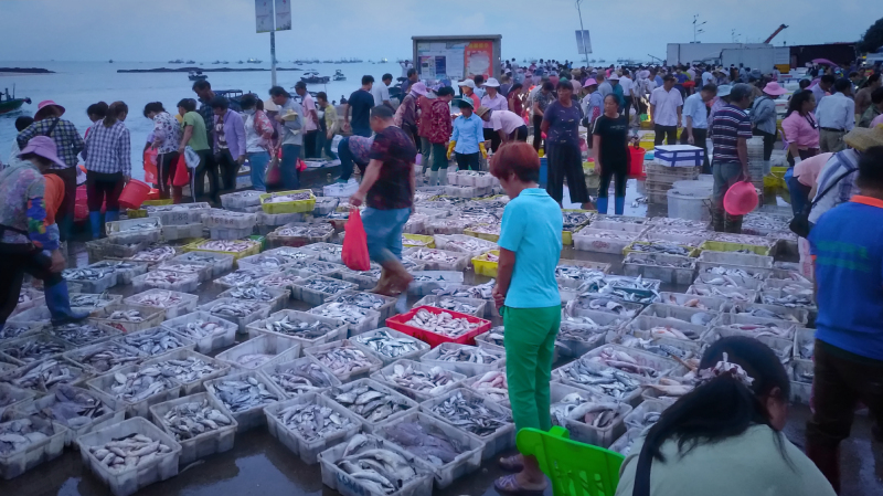 广东湛江景点及美食攻略,广东游记湛江市最美味的海鲜
