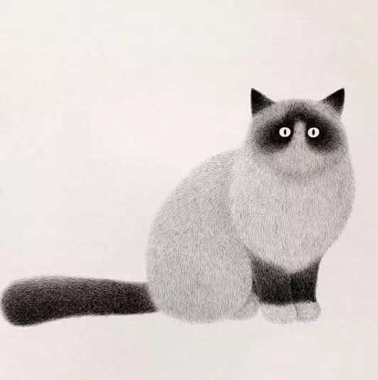 她用2元针管笔作画便惊艳了世界,他用粉笔画了一只猫