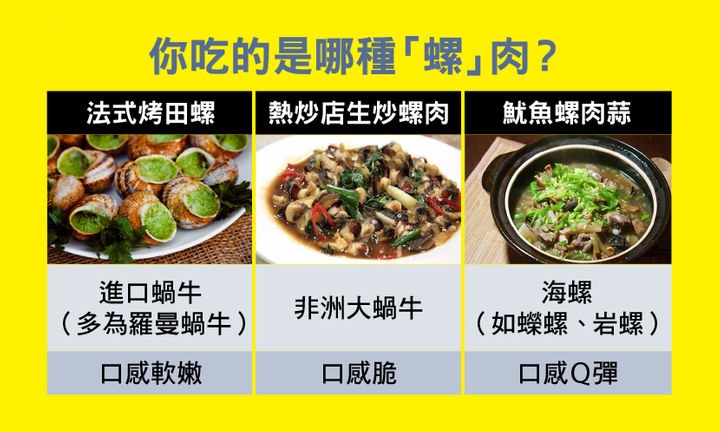 非洲野味入侵全球：在这种巨型蜗牛面前，中国吃货根本拽不起来