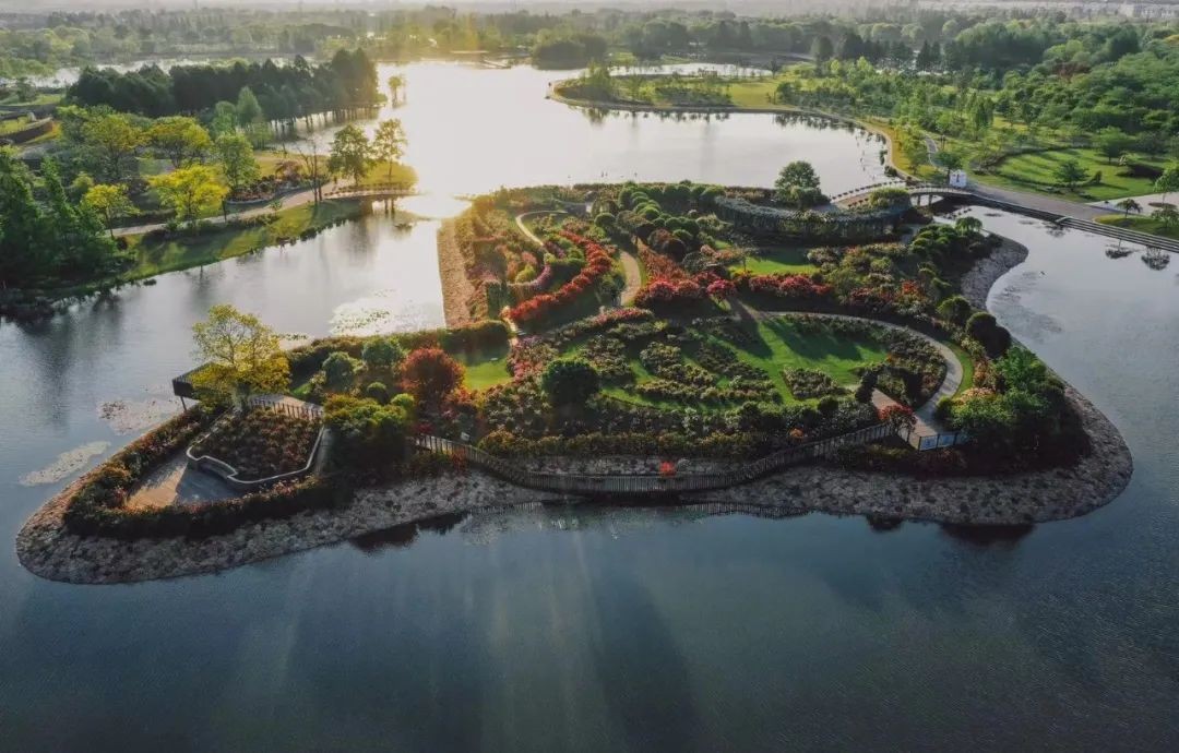 他出生河南，双一流博士毕业，手握国家级荣誉，还是上海市专门引进的人才！