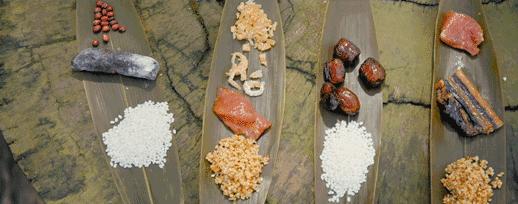 浙江粽子哪里好吃,浙江粽子哪个好吃