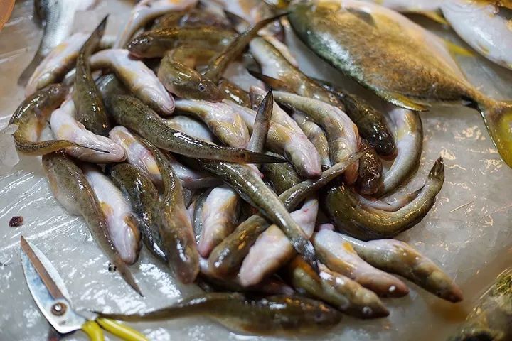 一年一度的开渔季,开渔季味蕾狂欢之旅