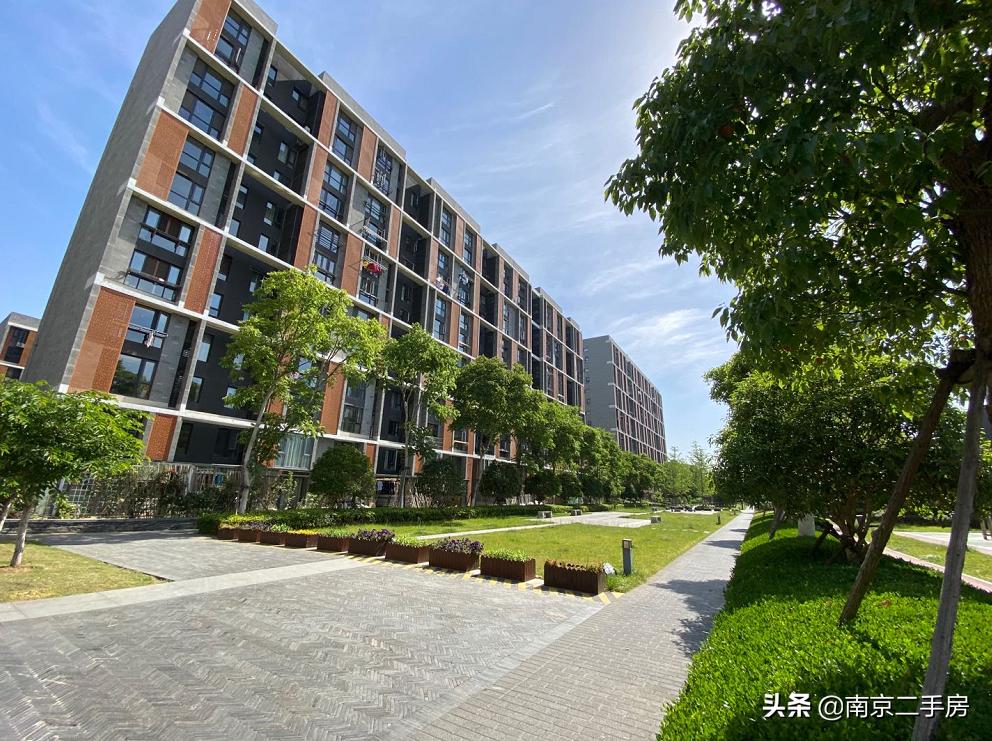 凭实力吸粉！成交破4万/㎡，实探百家湖“网红”神盘