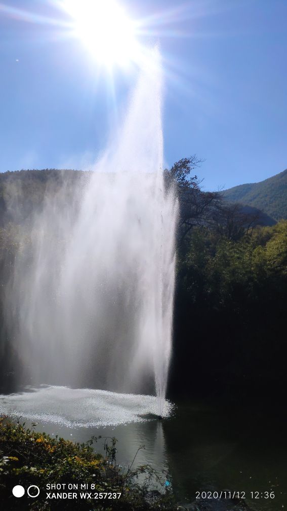 宜兴竹海十一月金色素材图片