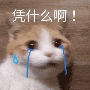 可爱小猫表情包搞笑图片,开心表情包可爱搞笑图片