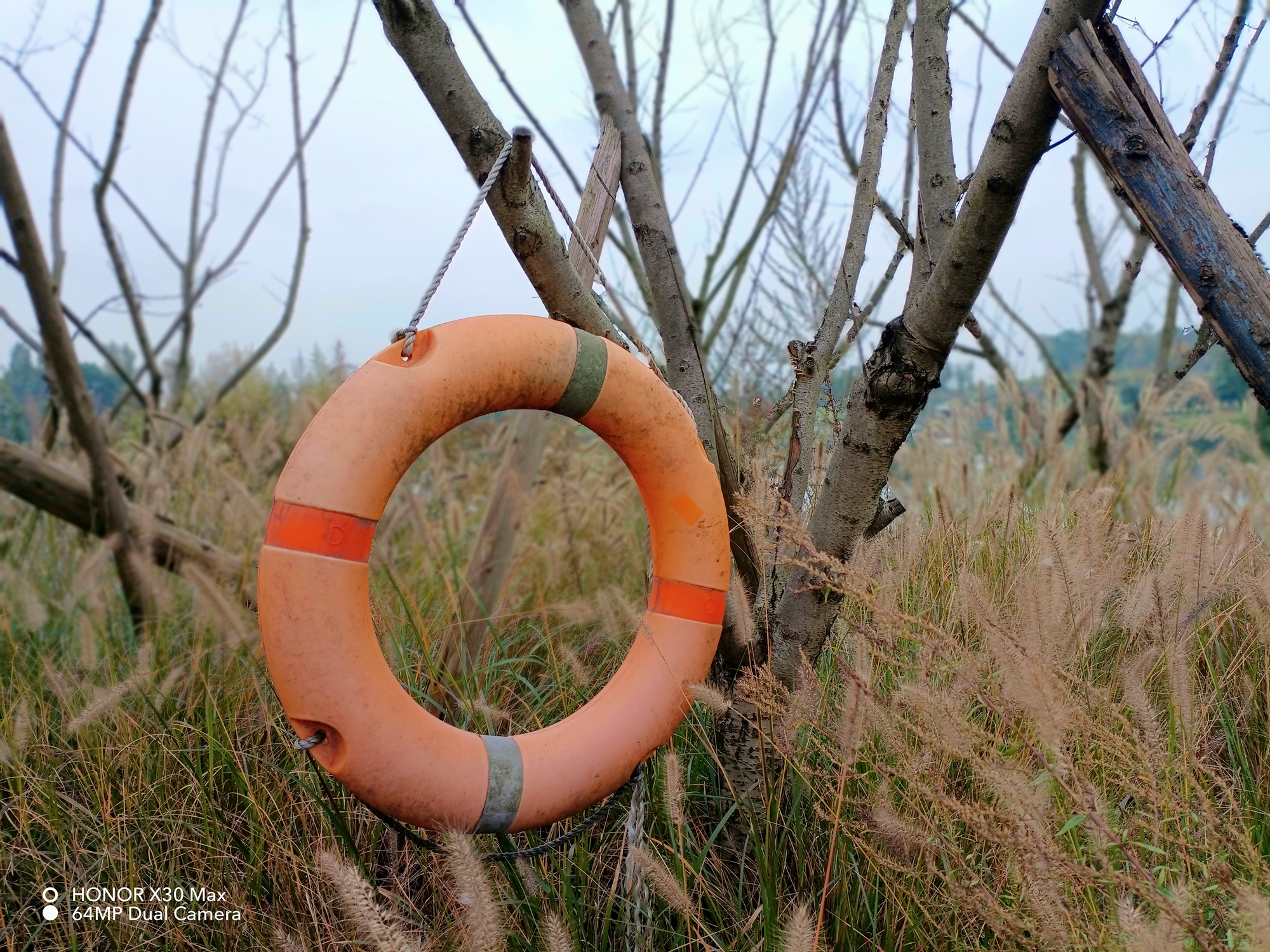 新款光荣x30max7.09寸大屏,大手机屏幕7英寸光荣x30max