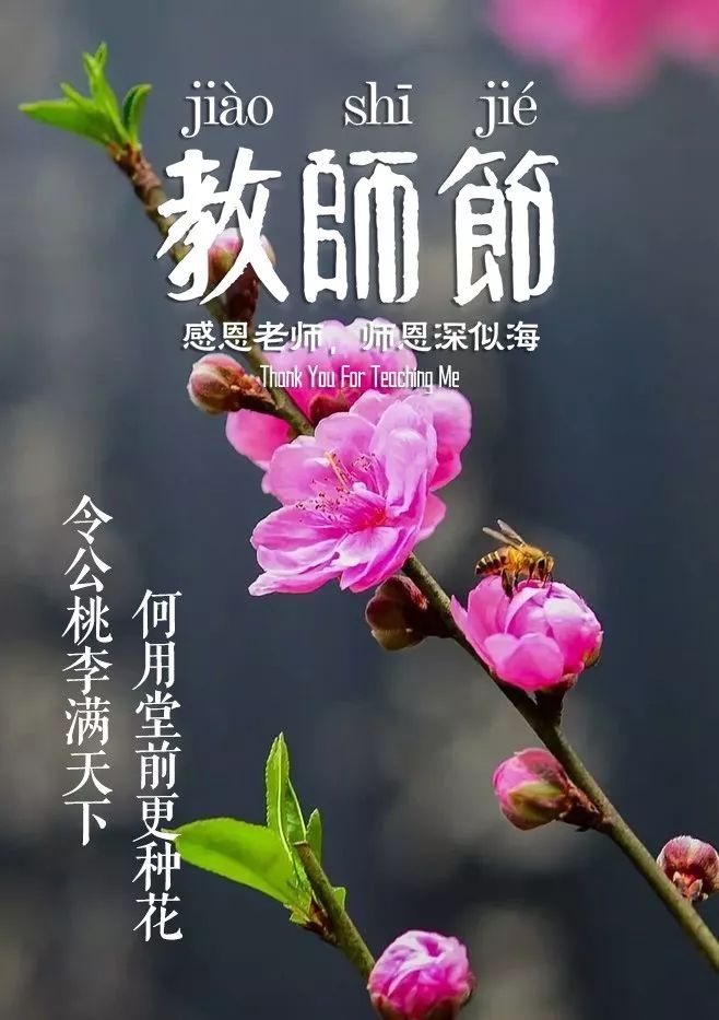 教师节感谢老师的诗句,关于教师节的诗句古诗送给老师