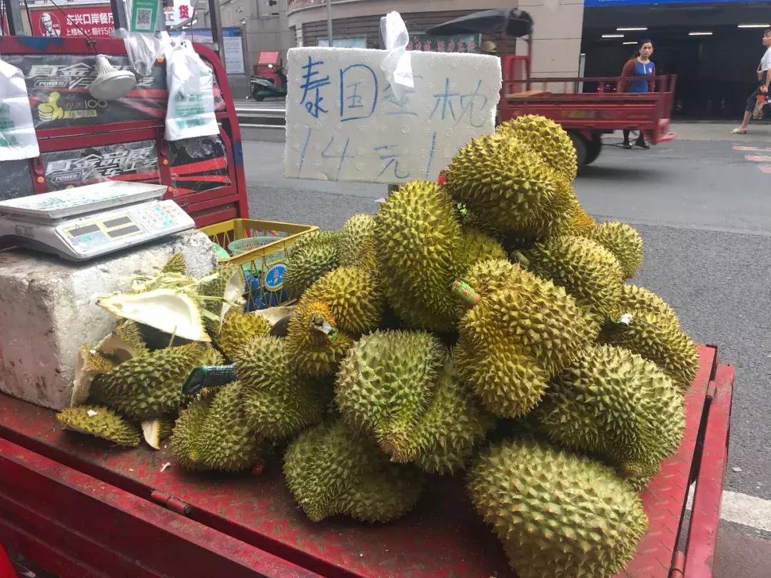 蜗旅自驾游,蜗游记vlog