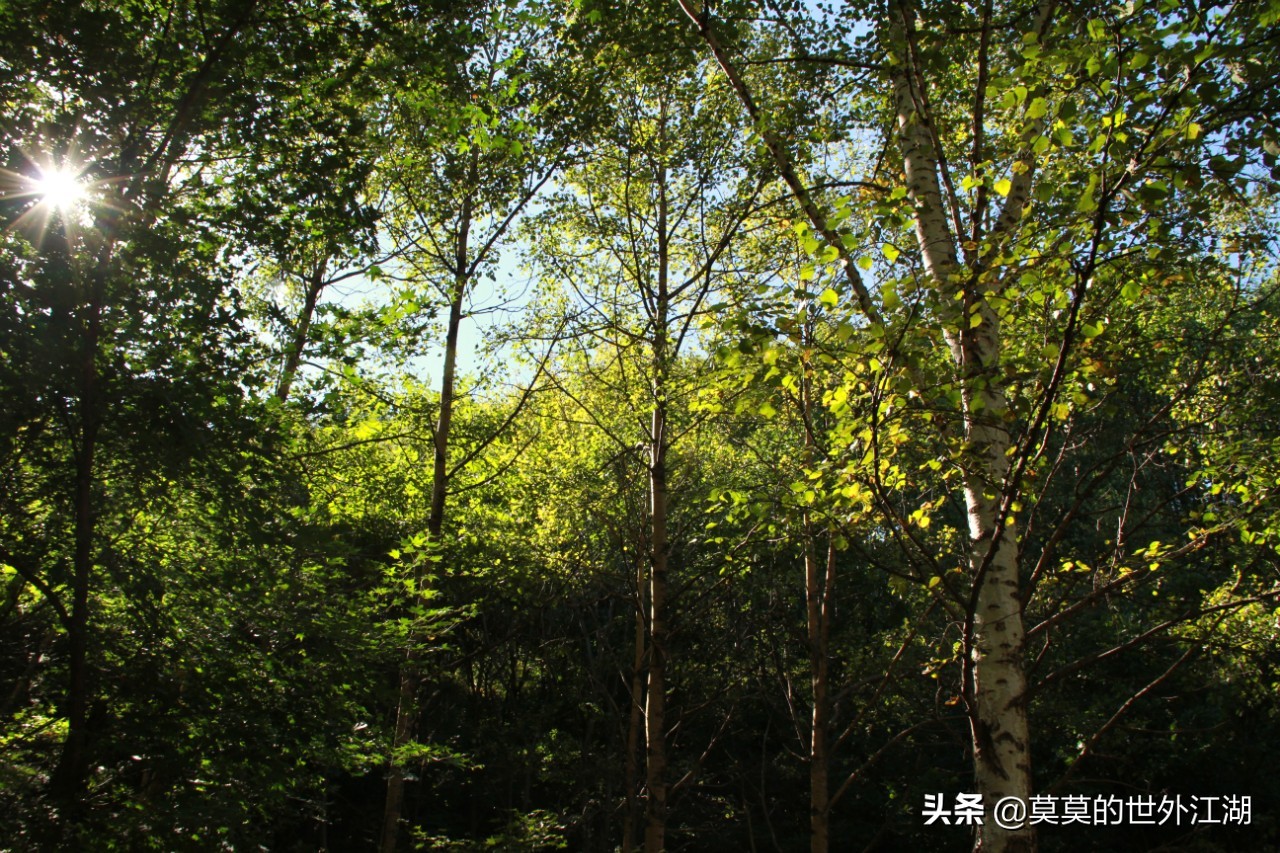 北京市怀柔区喇叭沟原始森林公园,北京怀柔喇叭沟景区