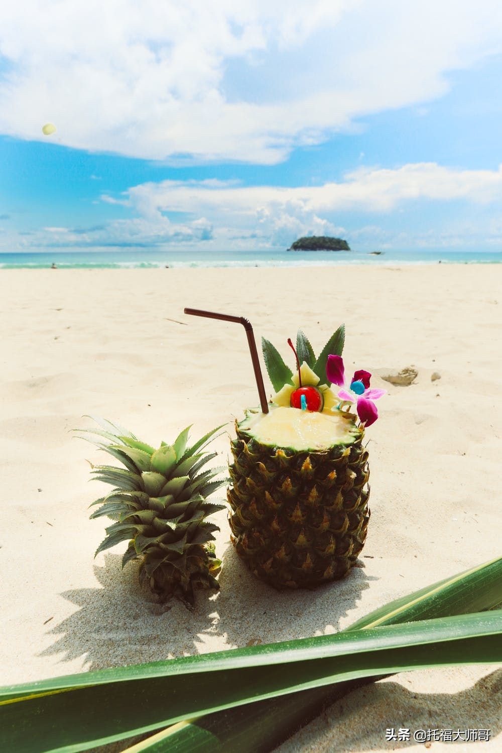 菠萝的英语为什么是pineapple,菠萝英文pineapple的由来