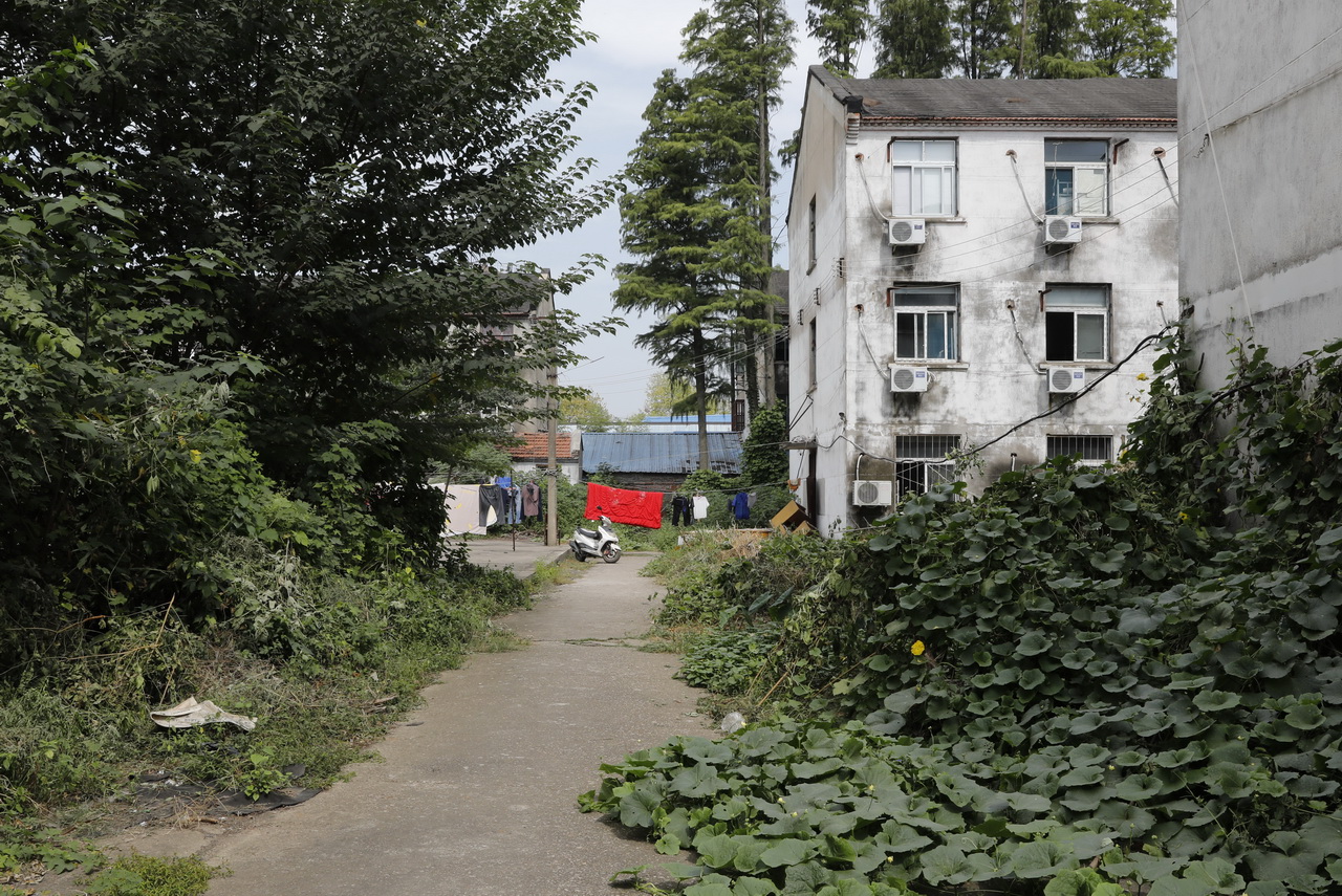 湖北棉纺织厂有哪几家,武汉东西湖棉纺织厂梁冬芳