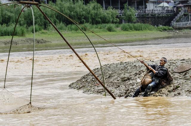 蓝藻爆发的正确处理方法,蓝藻爆发的原因及危害该如何处理